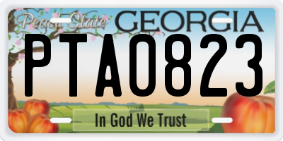 GA license plate PTA0823