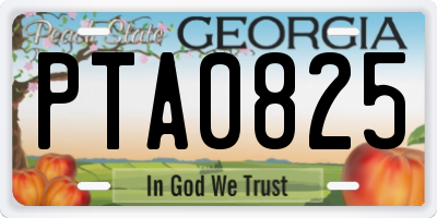 GA license plate PTA0825
