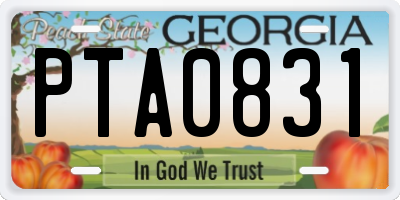 GA license plate PTA0831