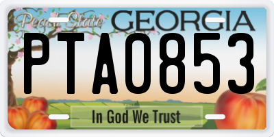 GA license plate PTA0853
