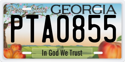 GA license plate PTA0855