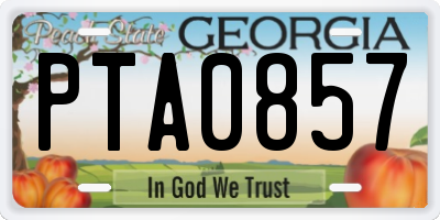 GA license plate PTA0857