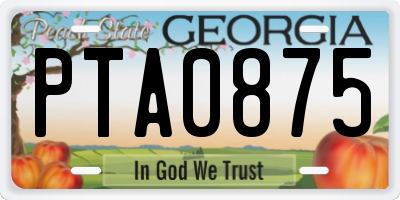 GA license plate PTA0875