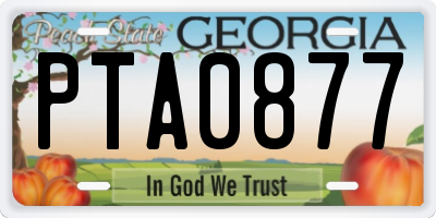 GA license plate PTA0877