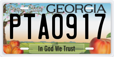 GA license plate PTA0917