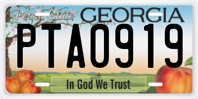 GA license plate PTA0919