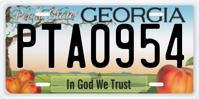 GA license plate PTA0954