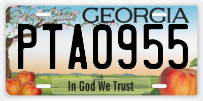 GA license plate PTA0955