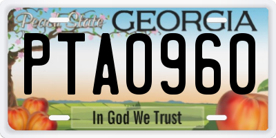 GA license plate PTA0960