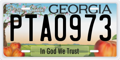 GA license plate PTA0973