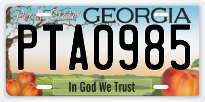 GA license plate PTA0985