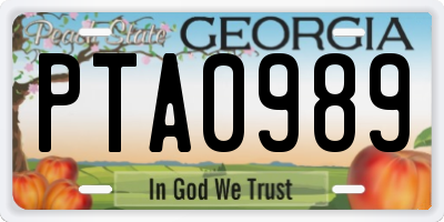 GA license plate PTA0989
