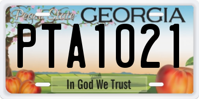 GA license plate PTA1021