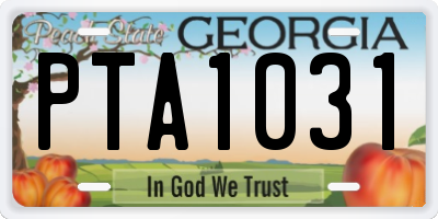 GA license plate PTA1031