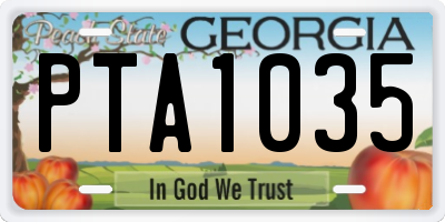 GA license plate PTA1035