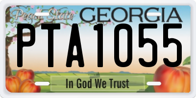 GA license plate PTA1055