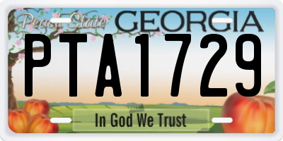GA license plate PTA1729