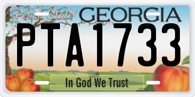 GA license plate PTA1733