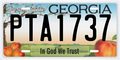 GA license plate PTA1737