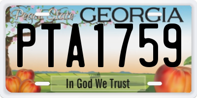 GA license plate PTA1759