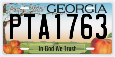 GA license plate PTA1763