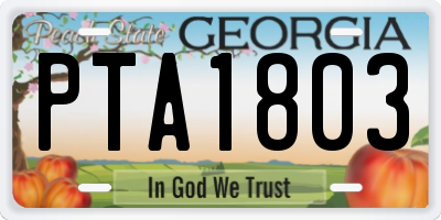 GA license plate PTA1803