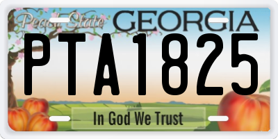 GA license plate PTA1825