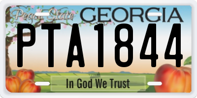 GA license plate PTA1844