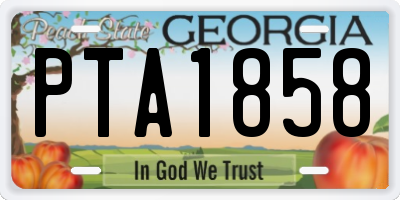 GA license plate PTA1858