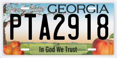 GA license plate PTA2918