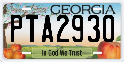 GA license plate PTA2930