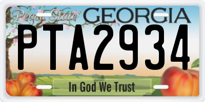 GA license plate PTA2934
