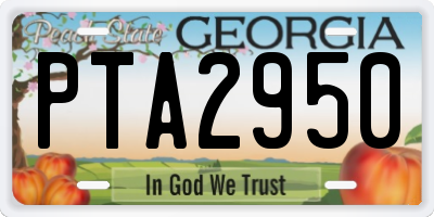GA license plate PTA2950