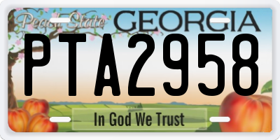 GA license plate PTA2958