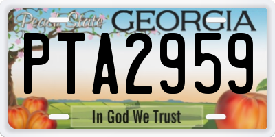 GA license plate PTA2959