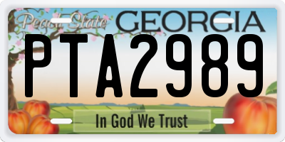 GA license plate PTA2989