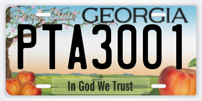 GA license plate PTA3001