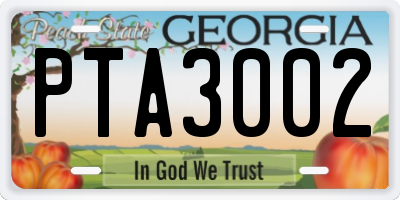 GA license plate PTA3002