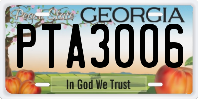 GA license plate PTA3006