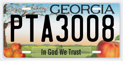 GA license plate PTA3008