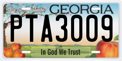 GA license plate PTA3009