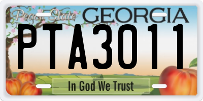 GA license plate PTA3011