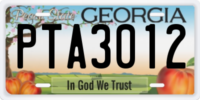 GA license plate PTA3012