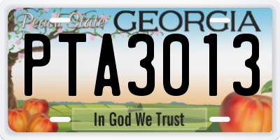 GA license plate PTA3013