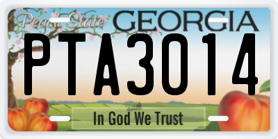 GA license plate PTA3014