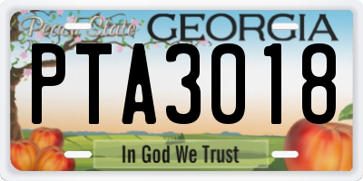 GA license plate PTA3018