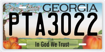 GA license plate PTA3022