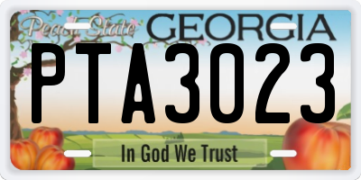 GA license plate PTA3023