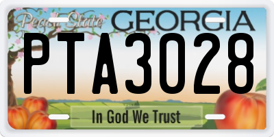 GA license plate PTA3028