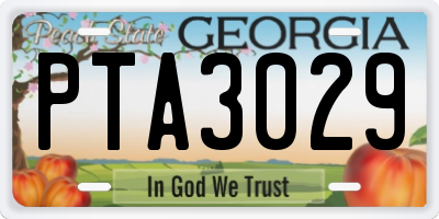 GA license plate PTA3029